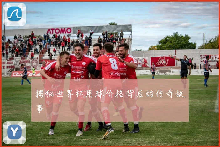 揭秘世界杯用球价格背后的传奇故事